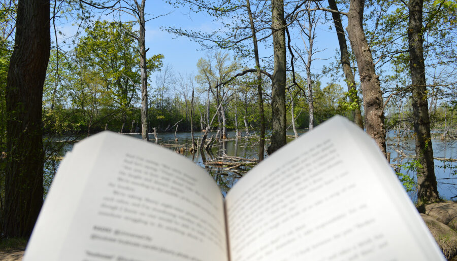 a blurry book in front of a lake and trees. the book is open